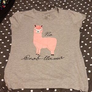 3/10$ Wound up - Grey with pink Llama tshirt